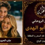جلب الحبيب البعيد